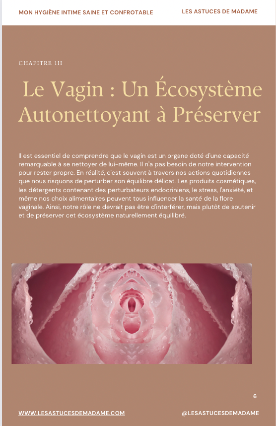 E-book Les secrets d’une hygiène intime saine et confortable